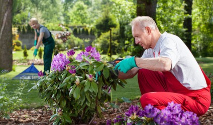 семейная-пара-домработница-садовник-помощник-по-хозяйству-агентство-MosNaim